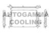 AUTOGAMMA 105134 Radiator, engine cooling